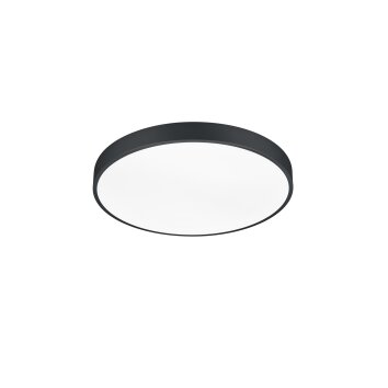 Trio Waco Ceiling Light LED black, 1-light source
