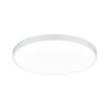 Trio Waco Ceiling Light LED white, 2-light sources