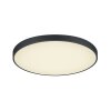 Trio Waco Ceiling Light LED black, 2-light sources