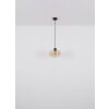 Globo GIUSEPPE Pendant Light black, 1-light source