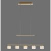 Paul Neuhaus HYDRA Pendant Light LED brass, 5-light sources