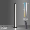 Paul Neuhaus PURE-LINES Floor Lamp LED anthracite, 1-light source, Remote control