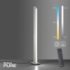 Paul Neuhaus PURE-LINES Floor Lamp LED aluminium, 1-light source, Remote control