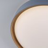 Paul Neuhaus Q-EMILIA Ceiling Light LED grey, Wood like finish, 1-light source, Remote control