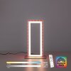Leuchten-Direkt FELIX60 Table lamp LED brushed steel, 2-light sources, Remote control, Colour changer