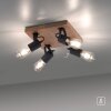 Leuchten-Direkt CANOP Ceiling Light Ecru, black, 4-light sources