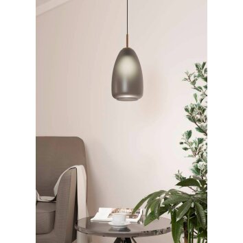Eglo ALOBRASE Pendant Light brass, black, 1-light source