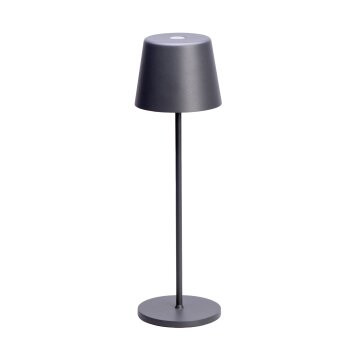CMD AQUA TABLE Table lamp LED anthracite, 1-light source