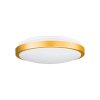 EGLO COMPETA Ceiling Light LED white, 1-light source