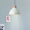 Brilliant Erena Pendant Light green, 1-light source