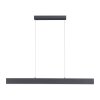 Paul Neuhaus NILA Pendant Light LED anthracite, 2-light sources, Remote control