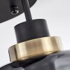 Curveira Ceiling Light bronze, black, 3-light sources