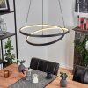 Fioso Pendant Light LED black, 1-light source