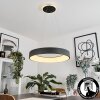Areja Pendant Light LED anthracite, white, 1-light source