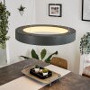 Areja Pendant Light LED anthracite, white, 1-light source