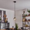 Koyoto  Pendant Light glass 15 cm clear, Smoke-coloured, 1-light source