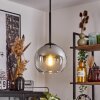 Koyoto  Pendant Light glass 15 cm clear, Smoke-coloured, 1-light source