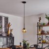 Koyoto  Pendant Light glass 15 cm Amber, 1-light source
