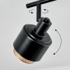 Pegos Ceiling Light black, 2-light sources