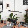 Meiral Pendant Light LED black, 2-light sources