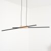 Meiral Pendant Light LED black, 2-light sources