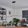 Meiral Pendant Light LED black, 2-light sources