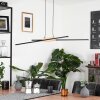 Meiral Pendant Light LED black, 2-light sources