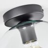 Koyoto  Ceiling Light glass 25 cm clear, 1-light source