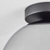 Koyoto  Ceiling Light glass 25 cm clear, Smoke-coloured, 1-light source