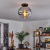 Koyoto  Ceiling Light glass 25 cm clear, Smoke-coloured, 1-light source