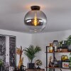 Koyoto  Ceiling Light glass 30 cm clear, Smoke-coloured, 1-light source
