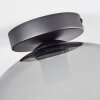 Koyoto  Ceiling Light glass 30 cm clear, Smoke-coloured, 1-light source