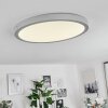 Finsrud Ceiling Light LED silver, 1-light source