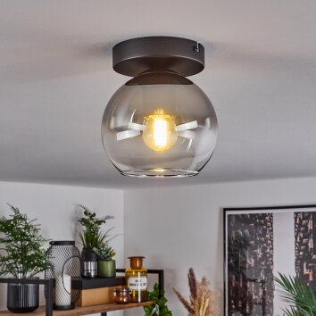 Koyoto  Pendant Light glass 15 cm clear, Smoke-coloured, 1-light source