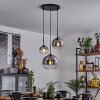 Koyoto  Pendant Light glass 15 cm, 20 cm, 25 cm clear, Smoke-coloured, 3-light sources