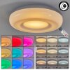 iDual Daphnis Ceiling Light LED silver, white, 1-light source, Remote control, Colour changer