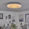 iDual Daphnis Ceiling Light LED silver, white, 1-light source, Remote control, Colour changer