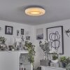 iDual Daphnis Ceiling Light LED silver, white, 1-light source, Remote control, Colour changer