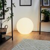 iDual Diana globe light LED matt nickel, 1-light source, Remote control, Colour changer