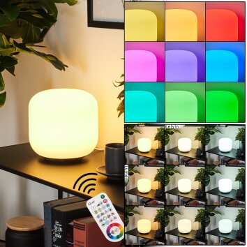 iDual Thyme Table lamp LED matt nickel, 1-light source, Remote control, Colour changer