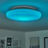 iDual Chloe Ceiling Light LED silver, white, 1-light source, Remote control, Colour changer