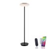 Paul Neuhaus Q-ETIENNE Floor Lamp LED black, 1-light source, Remote control