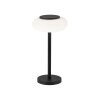 Paul Neuhaus Q-ETIENNE Table lamp LED black, 1-light source, Remote control