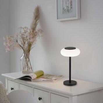 Paul Neuhaus Q-ETIENNE Table lamp LED black, 1-light source, Remote control