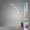 Paul Neuhaus Q-VITO Floor Lamp LED brass, 1-light source, Remote control