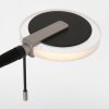 Steinhauer Turound UpLighter LED black, 2-light sources
