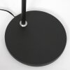Steinhauer Turound Floor Lamp LED black, 1-light source