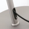 Steinhauer Turound Floor Lamp LED brushed steel, 1-light source