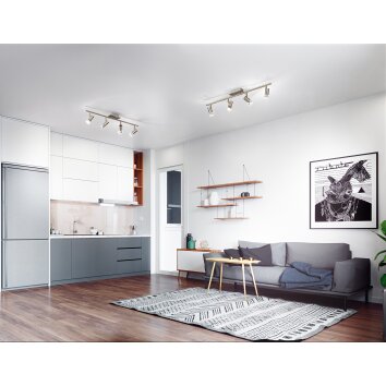 Fabas Luce Tucson Ceiling Light matt nickel, 4-light sources