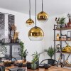 Koyoto  Pendant Light glass 15 cm, 20 cm, 25 cm gold, clear, 3-light sources